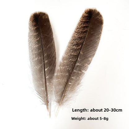 White Sage Smudge Stick