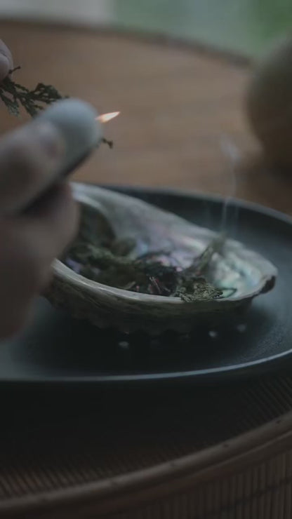 Forest Cedar Smudging Healing Kit